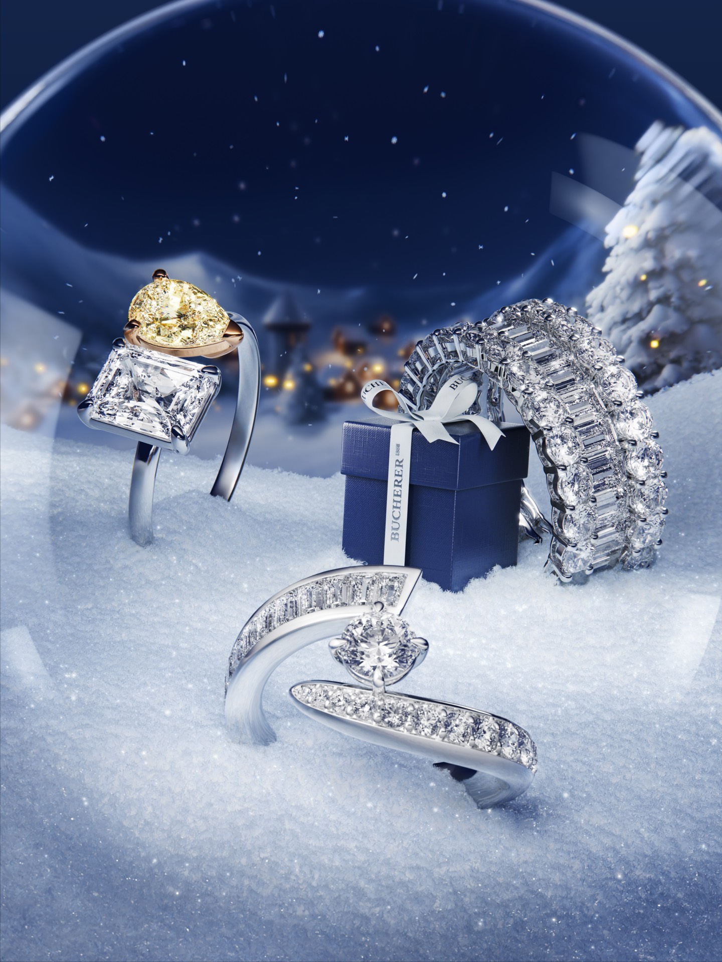 Bucherer Rings